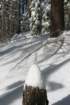 snowshoetrip_100_small.jpg