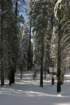 snowshoetrip_110_small.jpg