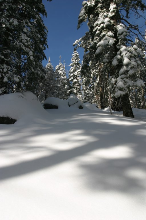 snowshoetrip_116.jpg