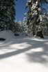 snowshoetrip_116_small.jpg