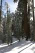 snowshoetrip_118_small.jpg