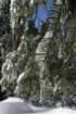snowshoetrip_121_small.jpg