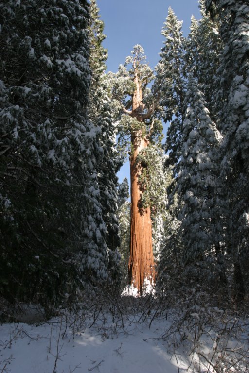 snowshoetrip_122.jpg