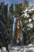 snowshoetrip_123_small.jpg
