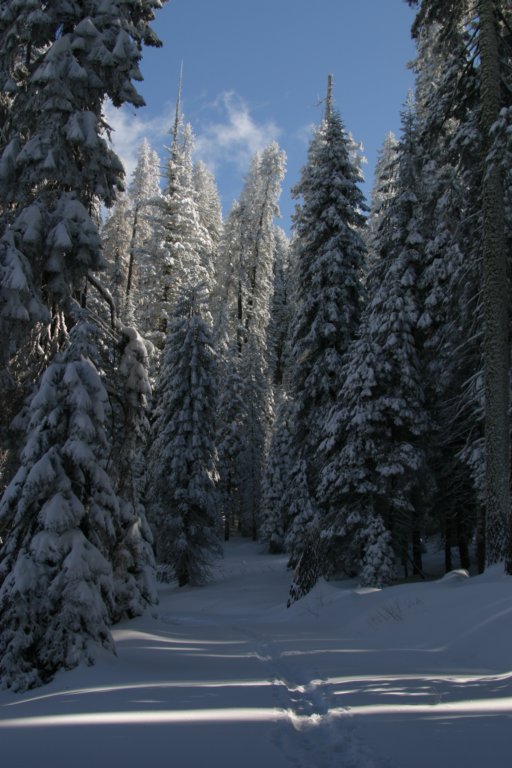 snowshoetrip_130.jpg