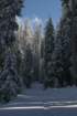snowshoetrip_130_small.jpg