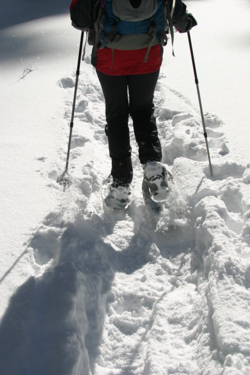 snowshoetrip_134.jpg