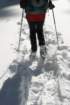 snowshoetrip_134_small.jpg