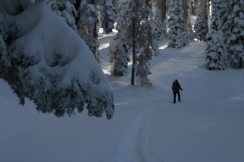 snowshoetrip_141.jpg