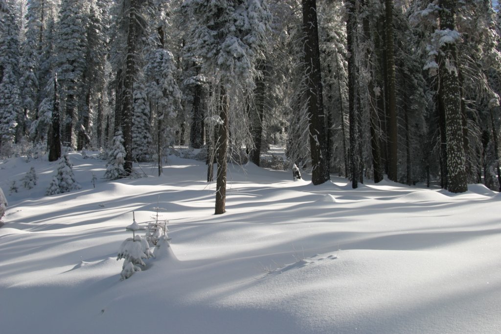 snowshoetrip_142.jpg