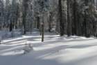 snowshoetrip_142_small.jpg