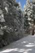 snowshoetrip_150_small.jpg