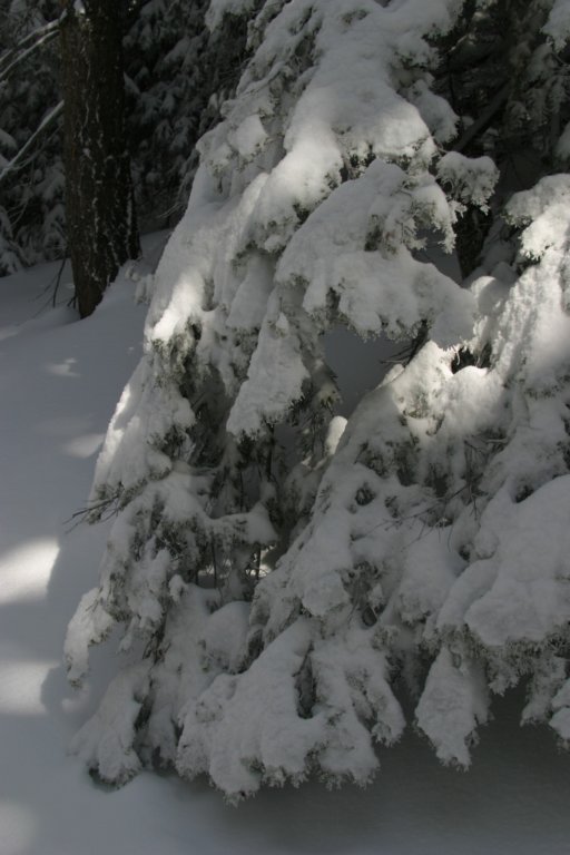 snowshoetrip_151.jpg