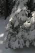 snowshoetrip_151_small.jpg
