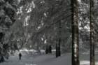 snowshoetrip_154_small.jpg