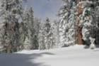 snowshoetrip_155_small.jpg