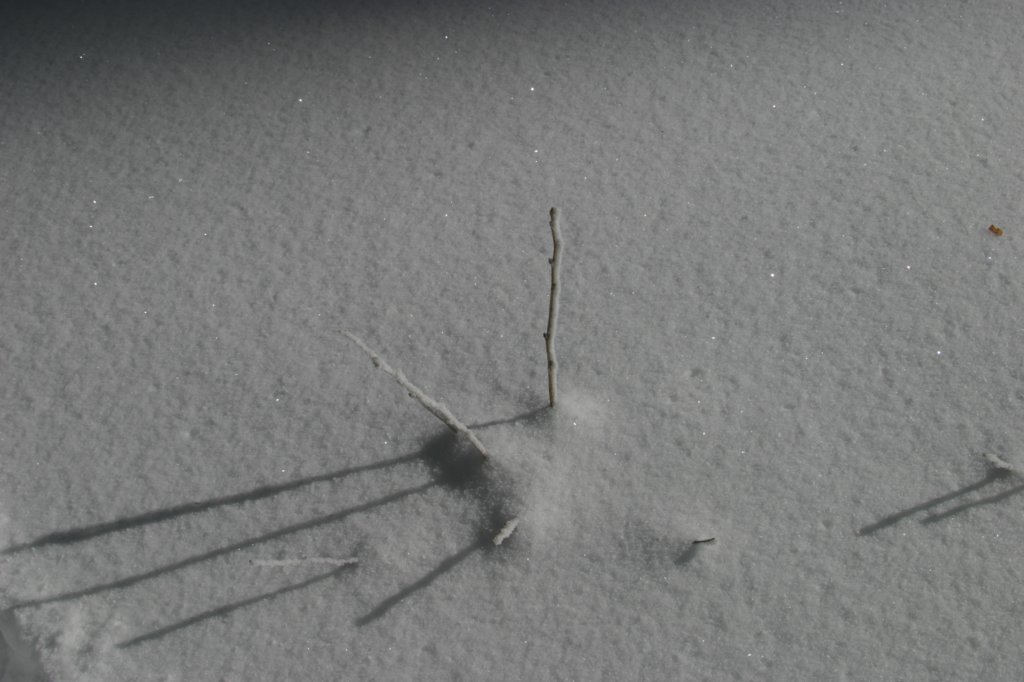 snowshoetrip_160.jpg
