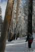 snowshoetrip_163_small.jpg