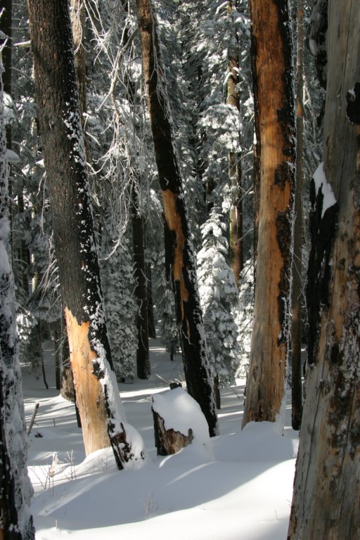 snowshoetrip_166.jpg