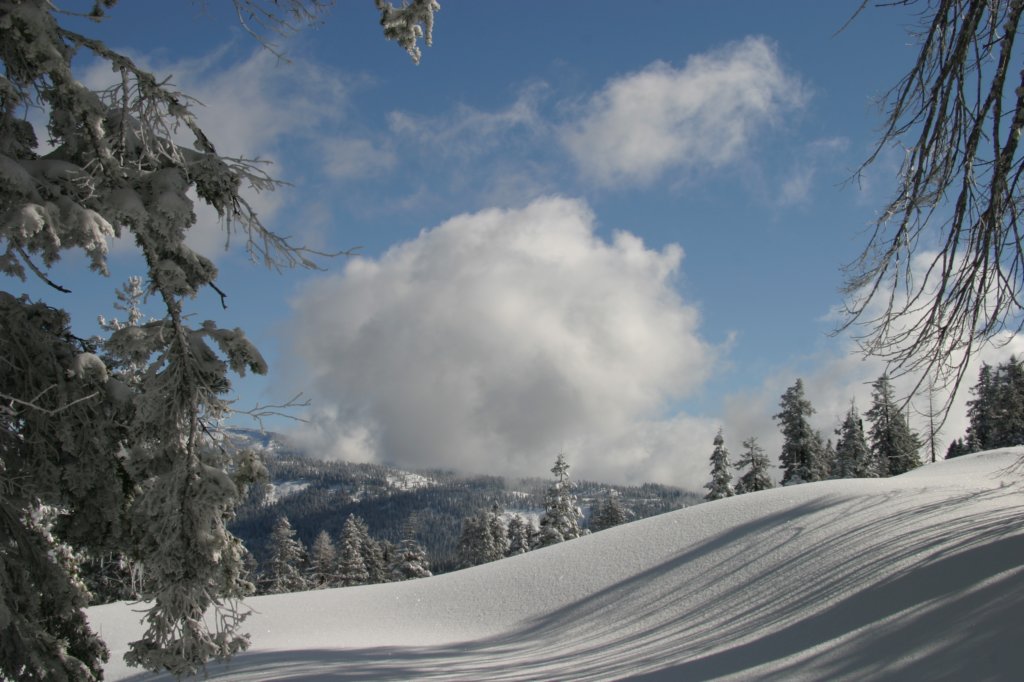snowshoetrip_173.jpg