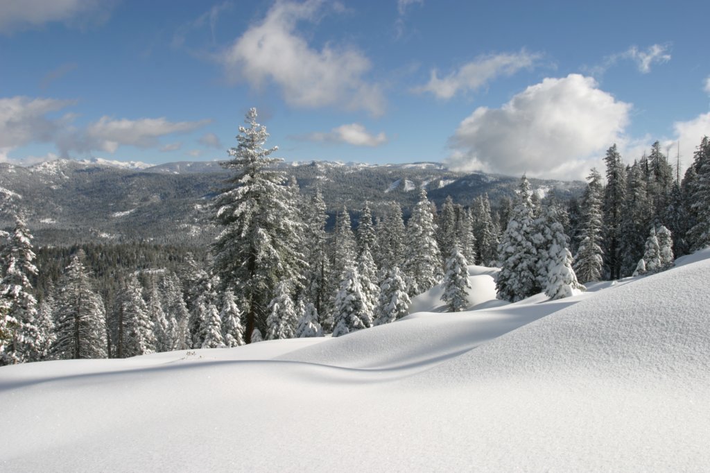 snowshoetrip_180.jpg