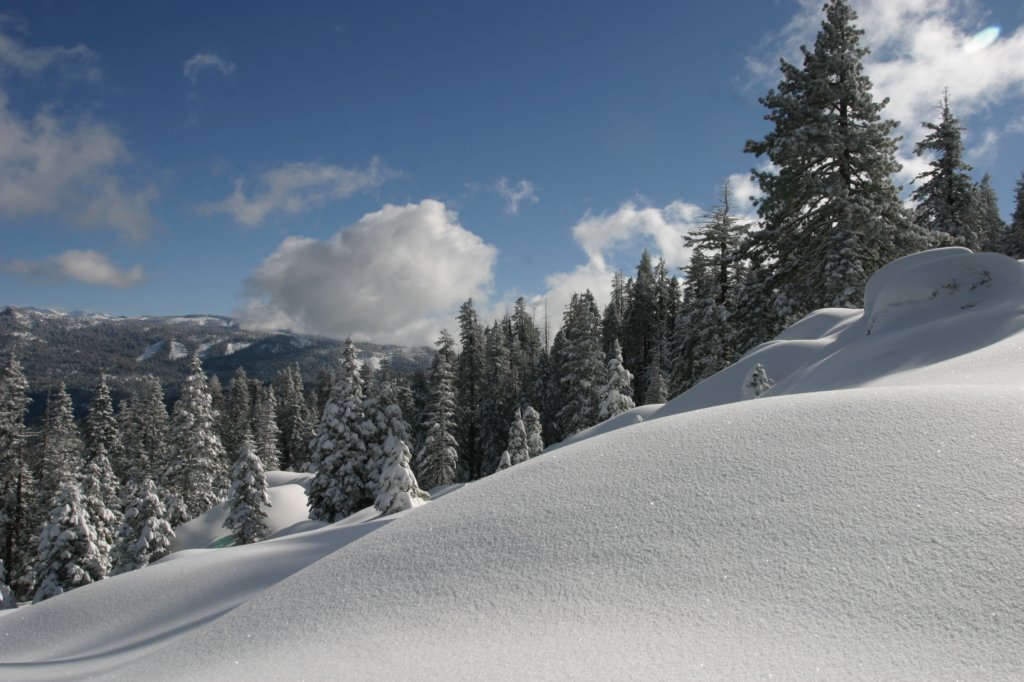 snowshoetrip_183.jpg