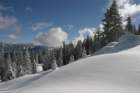 snowshoetrip_183_small.jpg