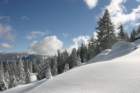 snowshoetrip_184_small.jpg