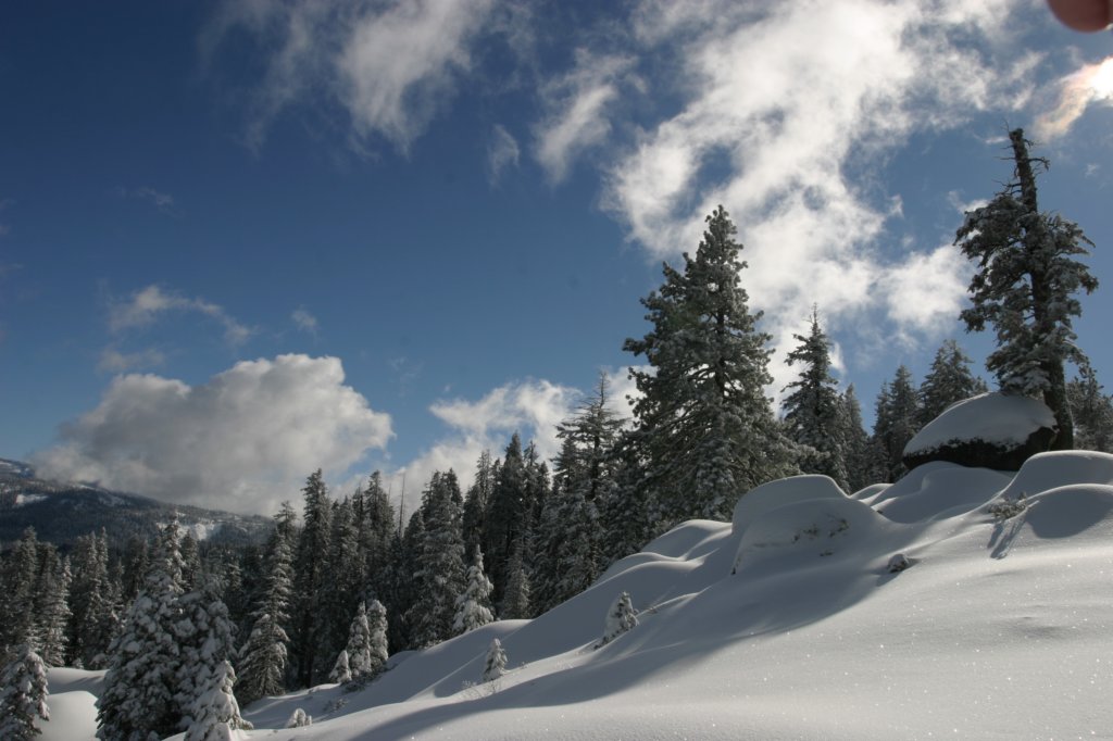 snowshoetrip_188.jpg