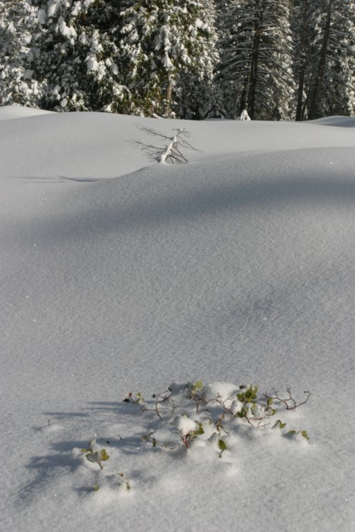 snowshoetrip_190.jpg
