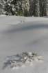 snowshoetrip_190_small.jpg