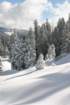 snowshoetrip_192_small.jpg