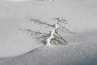 snowshoetrip_194_small.jpg