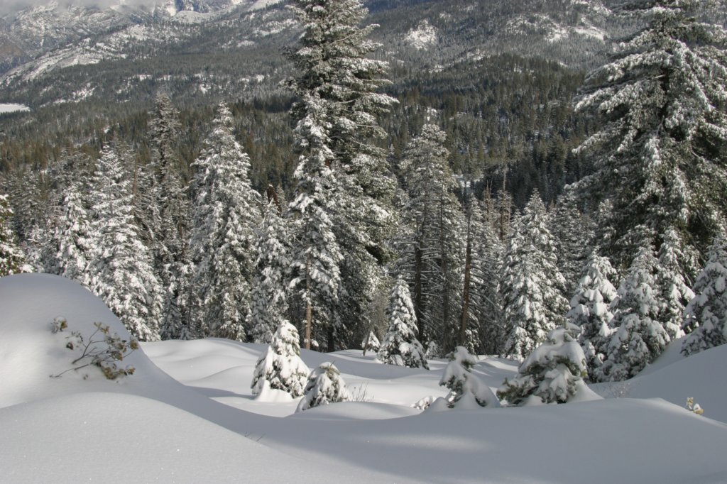 snowshoetrip_204.jpg