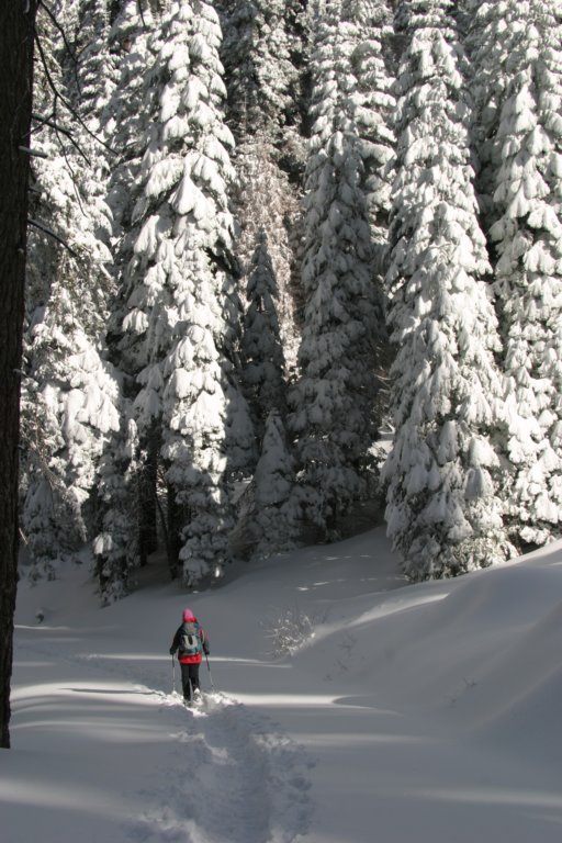 snowshoetrip_212.jpg