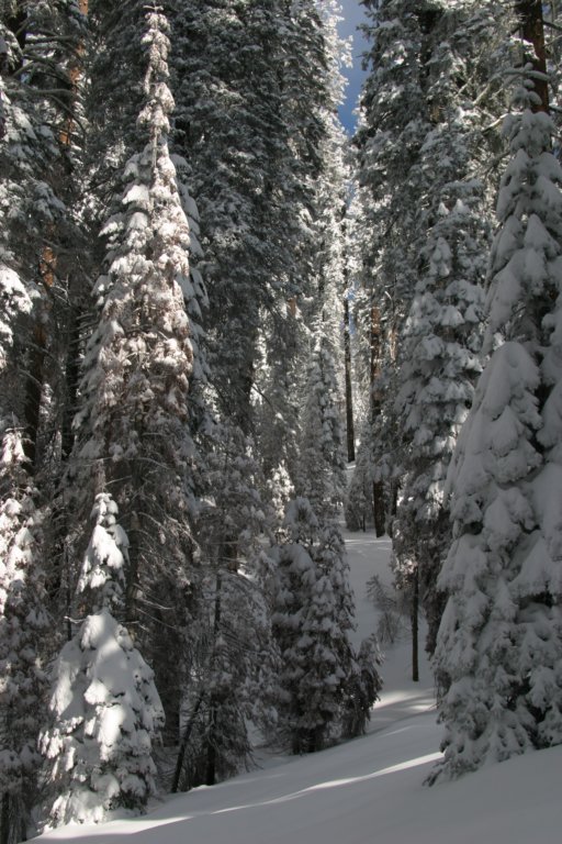 snowshoetrip_218.jpg