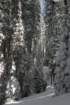 snowshoetrip_218_small.jpg