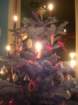 christmas200831_small.jpg