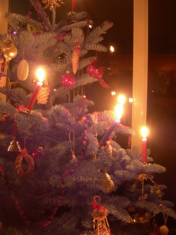 christmas200833.jpg