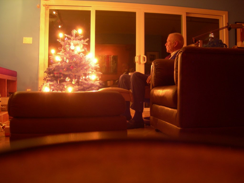 christmas200849.jpg
