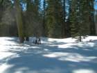 deweypoint008_small.jpg