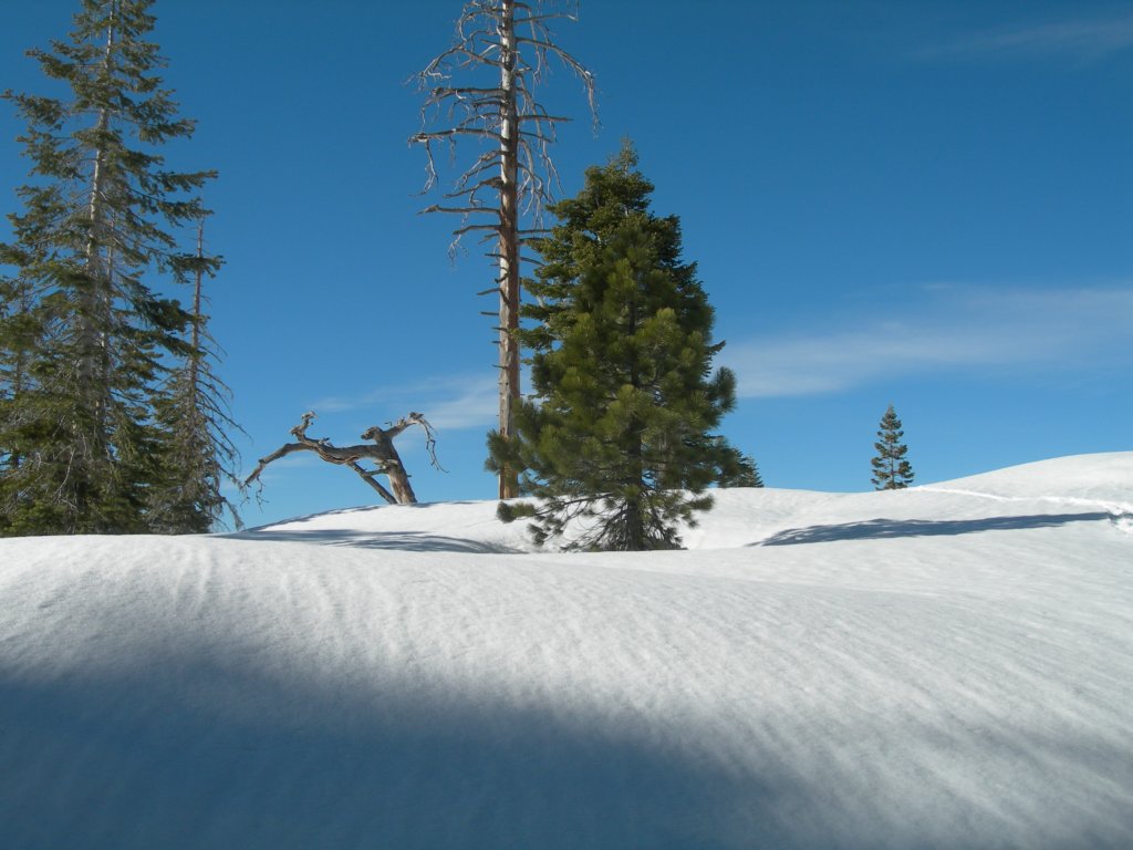 deweypoint019.jpg