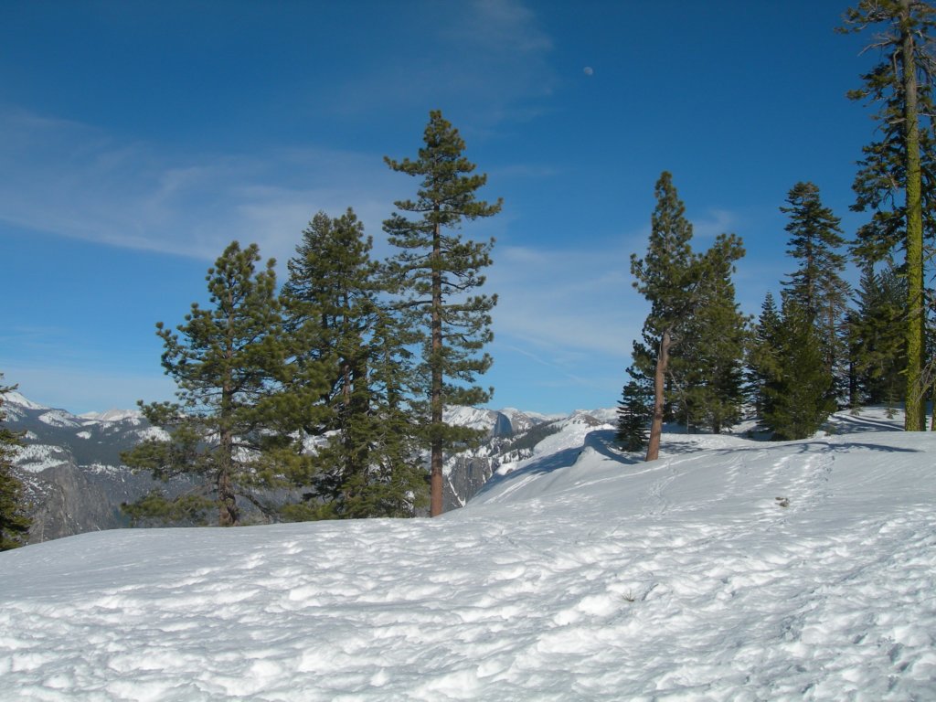 deweypoint027.jpg