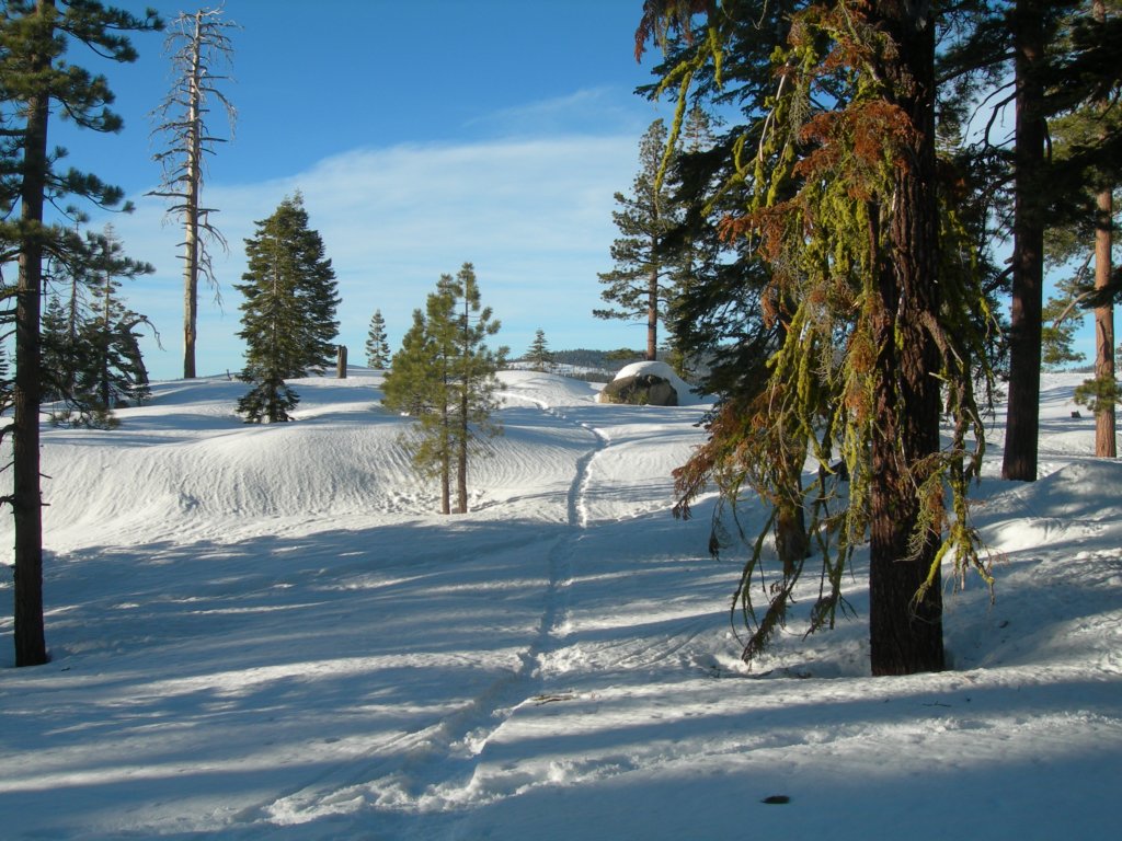 deweypoint059.jpg