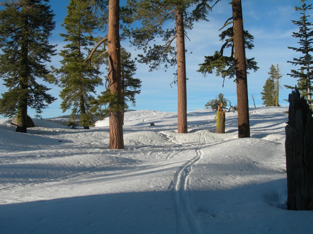 deweypoint062.jpg