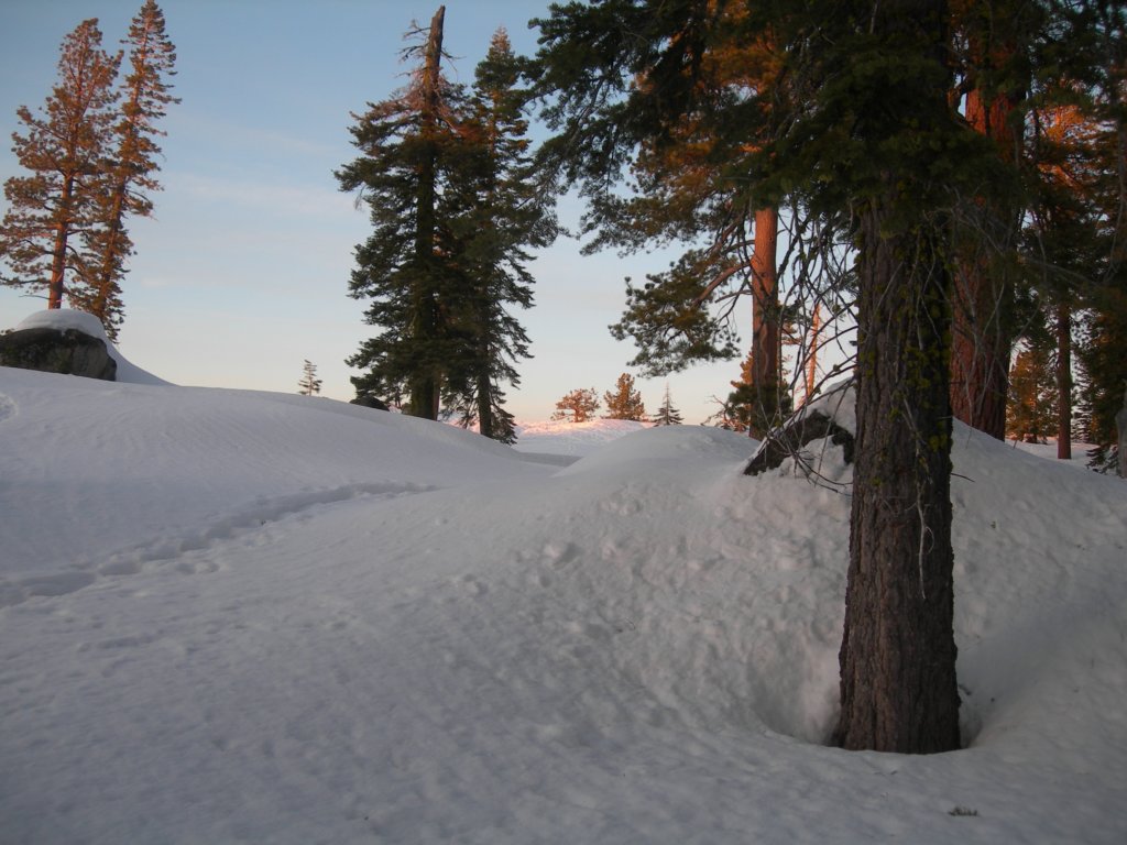 deweypoint065.jpg