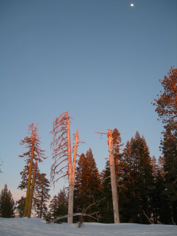 deweypoint074.jpg