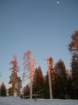 deweypoint074_small.jpg
