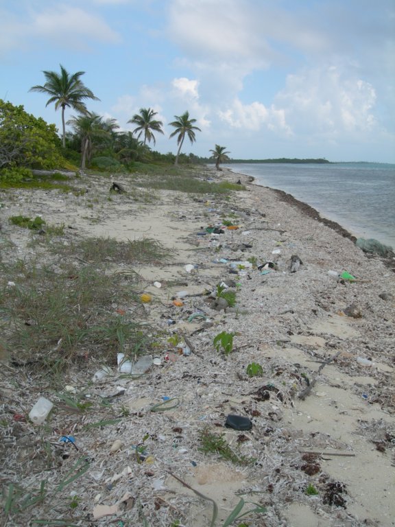 mexico_trip_105.jpg