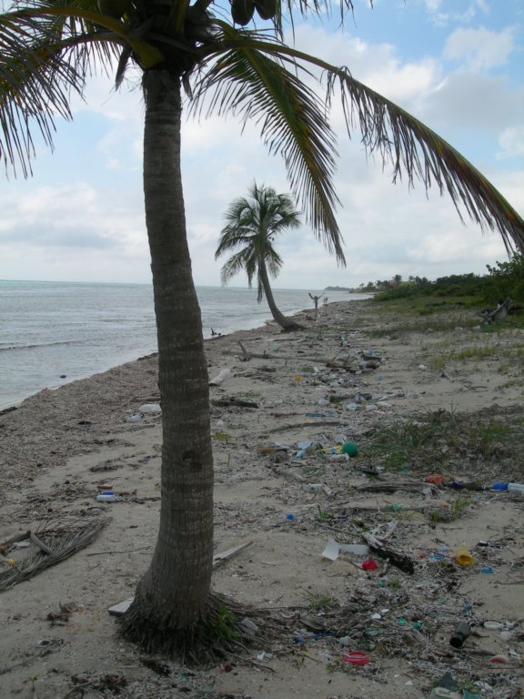 mexico_trip_106.jpg